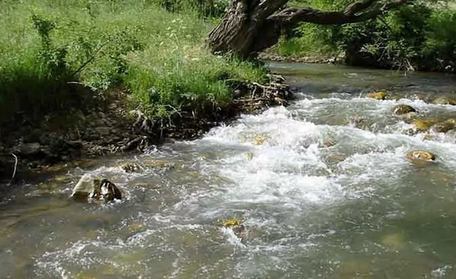 سفربازی - منطقه حفاظت شده رودخانه تجن ساری