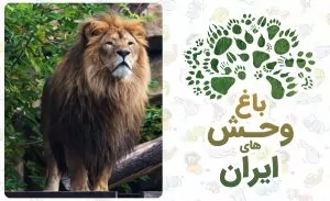 سفربازی - روز بازدید از باغ وحش، روز آشتی با حیوونا