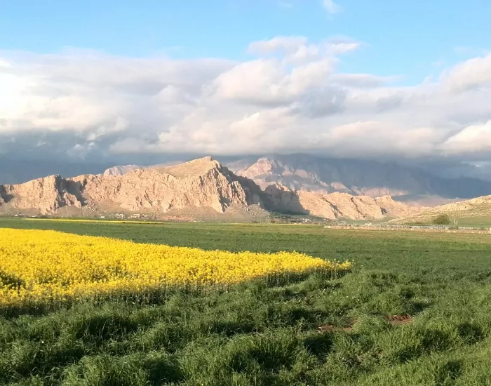 مسیر دسترسی به سراب نیلوفر